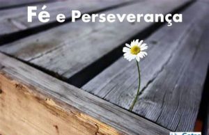 Testemunhos de Fé e Perseverança