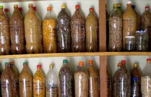 Deus manda você se preparar para o dia mau’: o que pensam as Brasileiras que Estocam Comida