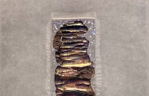 Arqueólogo Desenterrou Rolo de Prata com Gravação em Hebraico do Livro de Números