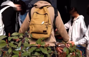 Acampamento de Jovens na China é Invadido por Policiais